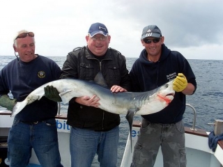  pesca de tubarão 